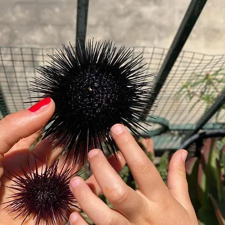 Centro Storico Flat 7 Mins From Port * Lipari (Isola Lipari)