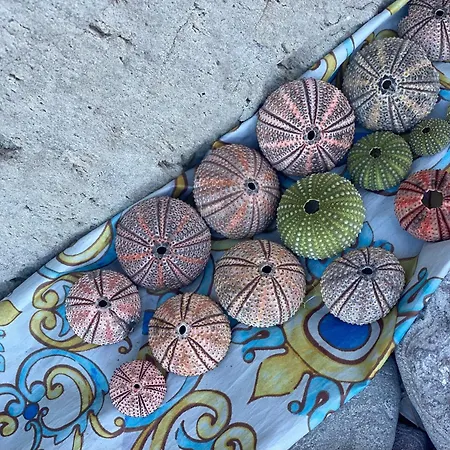 דירה Centro Storico Flat 7 Mins From Port ליפארי